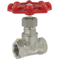 Manual Globe Valves